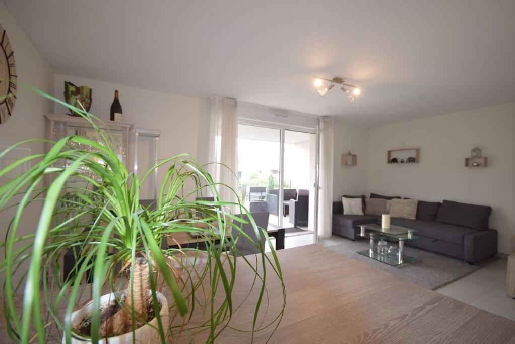 Appartement Sélestat Extérieur photo